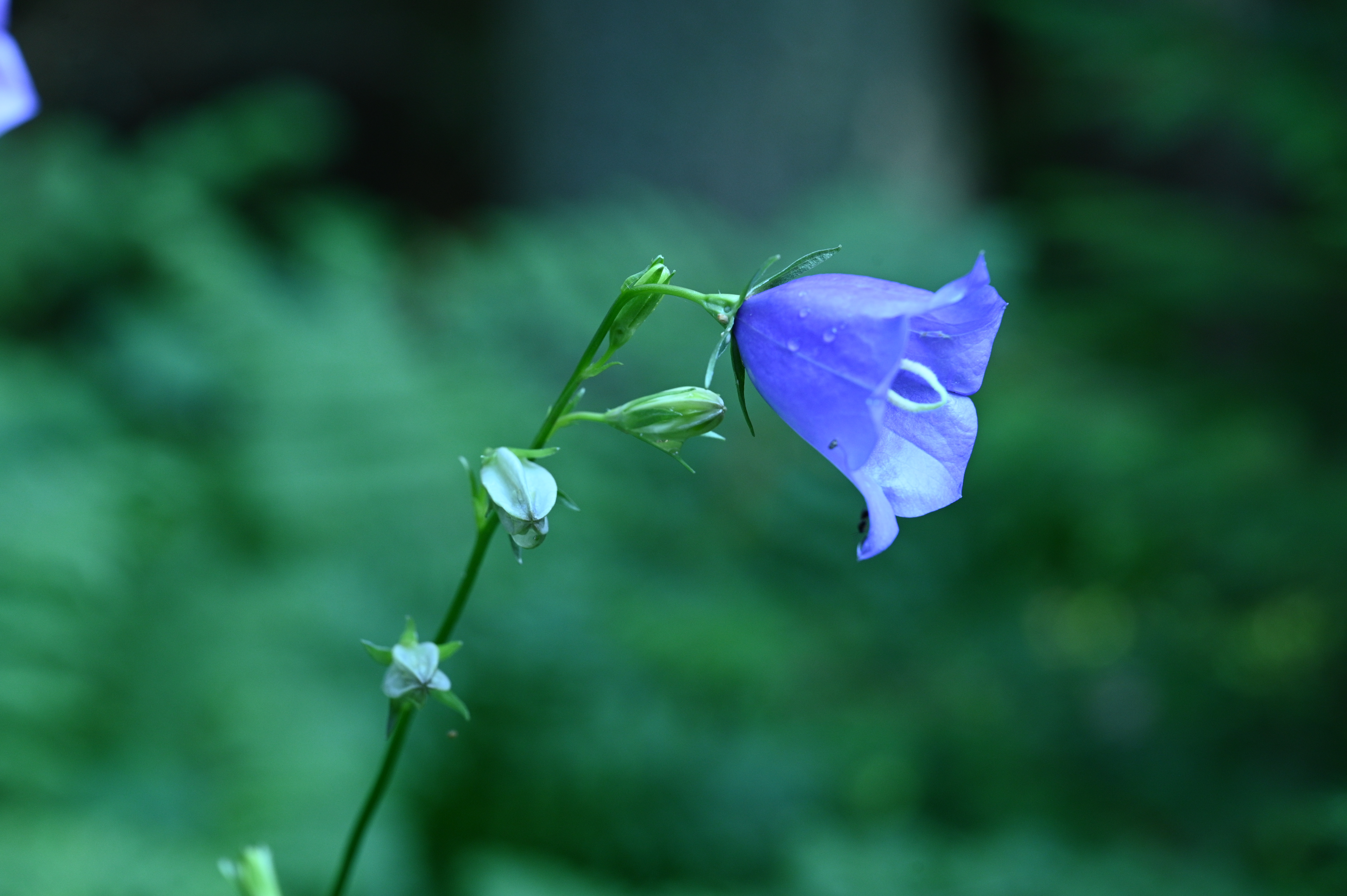 2025/07/09-14 - trip/DSC_0285.JPG